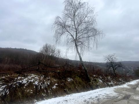 участок по адресу Злата Гута