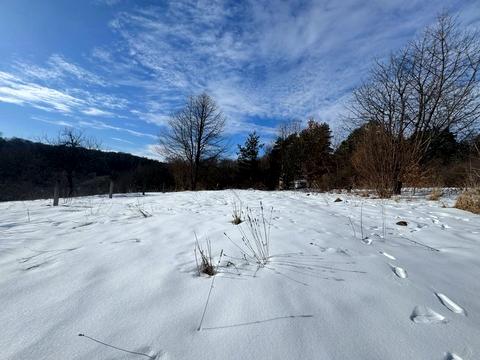 ділянка за адресою 