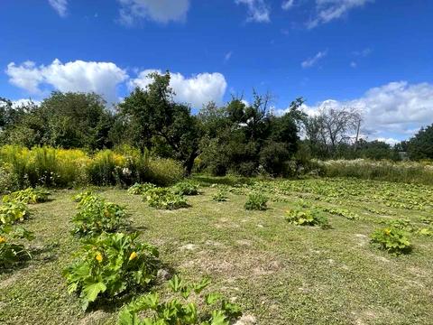 будинок за адресою с. Глинськ, Три Корчми, 3