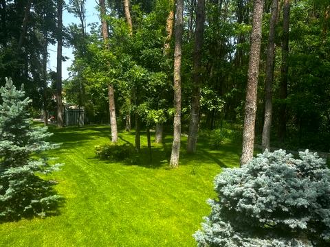 дом по адресу лісова