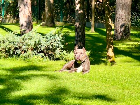 дом по адресу лісова