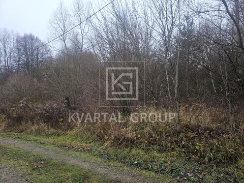 ділянка за адресою Грибна