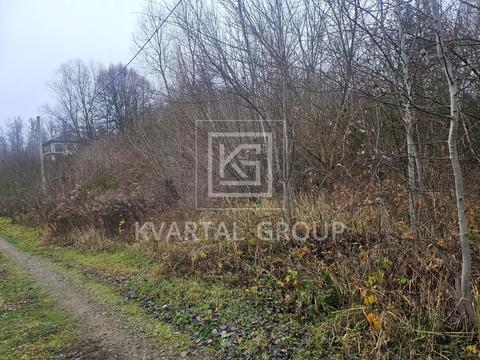 ділянка за адресою Грибна