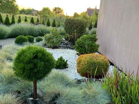 дом по адресу Леси Украинки ул.