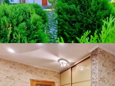 будинок за адресою 1-й Дорошенківський пров., 2