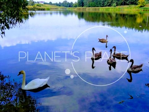 дом по адресу Богушівська, 88 А