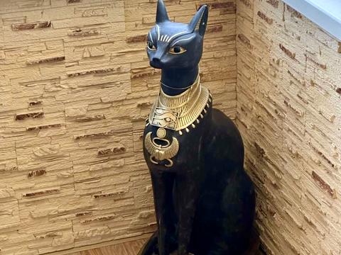 квартира по адресу Большая Китаевская ул., 10-А