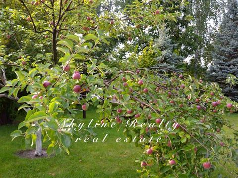 будинок за адресою Золотоворітська вул.