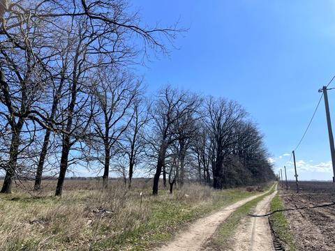 ділянка за адресою 