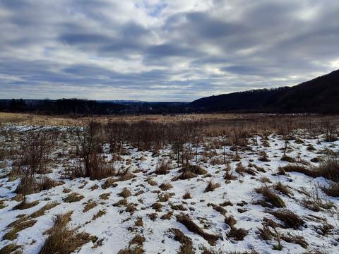участок по адресу 