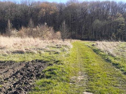 участок по адресу 