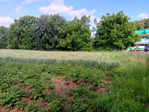 ділянка за адресою 