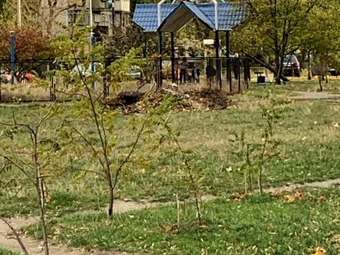 квартира по адресу Николая Кибальчича ул., 7-А