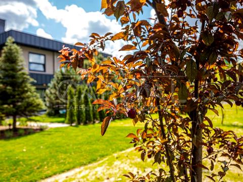 будинок за адресою Молодіжна вул., 55