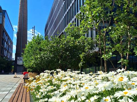 квартира за адресою Ґарета Джонса вул. (Сім'ї Хохлових), 12