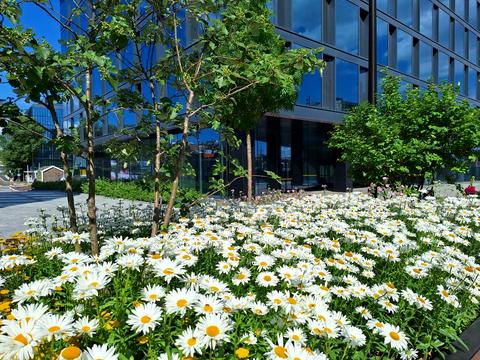 квартира за адресою Ґарета Джонса вул. (Сім'ї Хохлових), 12