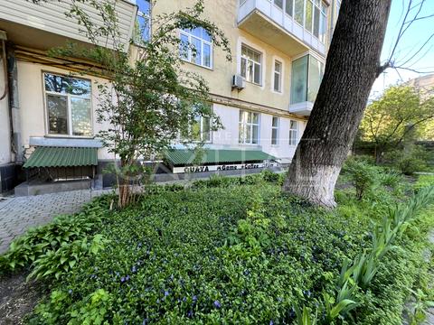 комерційна за адресою Шовковична вул., 24