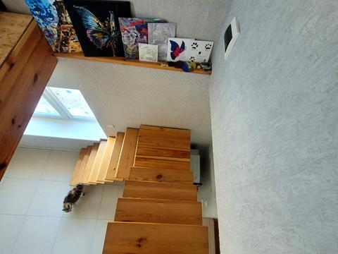 будинок за адресою Зелена, 31