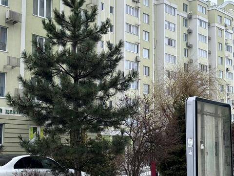 квартира за адресою Валерія Гудзя вул., 50