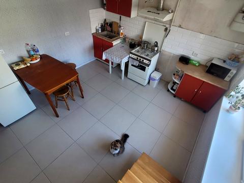 будинок за адресою Зелена, 31