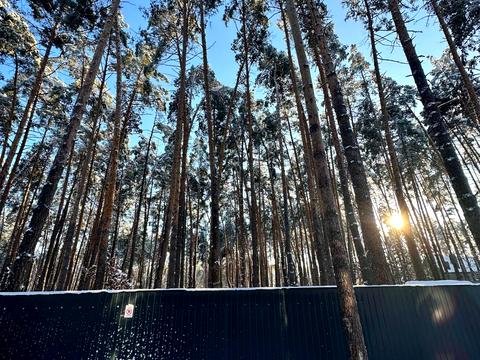 дом по адресу Буча, Гоголя ул.