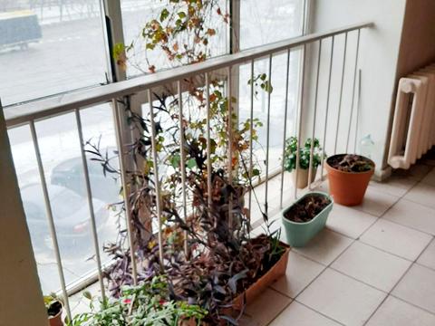 квартира по адресу Автозаводская ул., 99/4