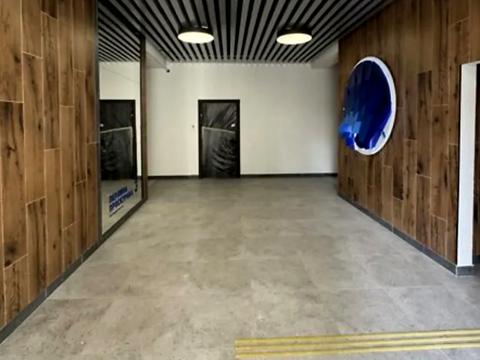 квартира по адресу Панаса Мирного ул., (Будинок)