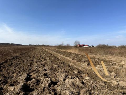 ділянка за адресою Бандери