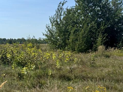 ділянка за адресою Тарасівська, 33