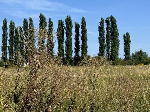 ділянка за адресою Вчительська, 33