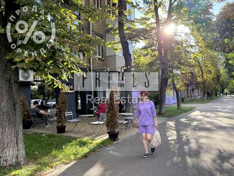 комерційна за адресою Щусєва вул., 13