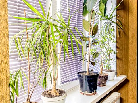 будинок за адресою смт. Мала Данилівка, Курортна вул., 36