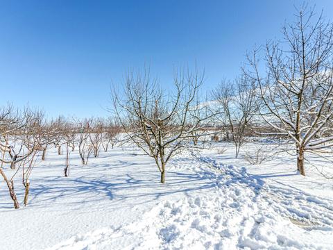 будинок за адресою Шевченка вул.