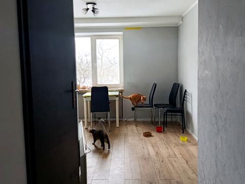 квартира за адресою Погребняка вул., 10