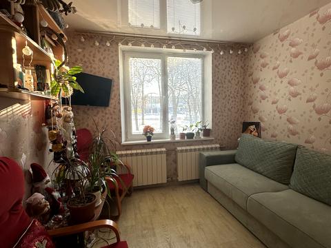 квартира по адресу Юбилейный просп. (50-летия ВЛКСМ), 59