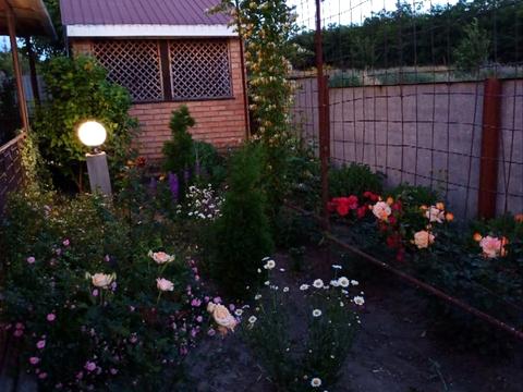 дом по адресу Шевченко ул., 88/14