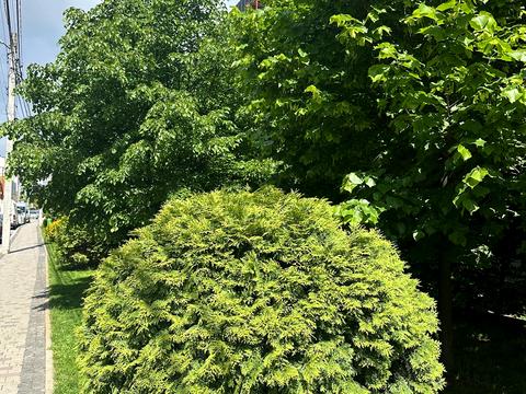 квартира по адресу Леоніда Каденюка ул., 4