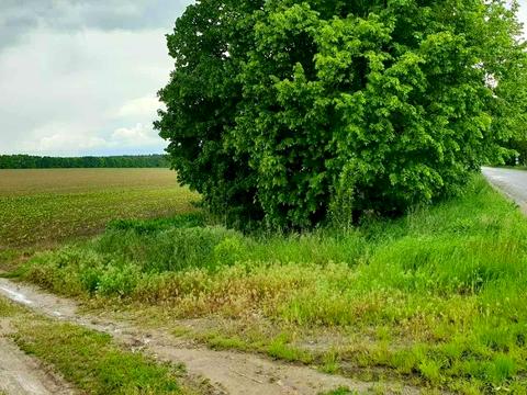 участок по адресу 