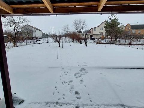 будинок за адресою Ставищанська вул., 65