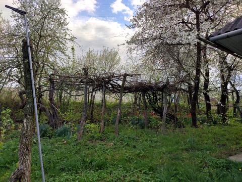 дом по адресу Сонячна, 13