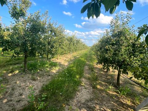 ділянка за адресою 