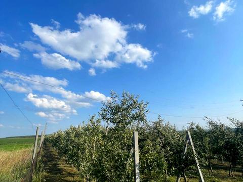 ділянка за адресою 