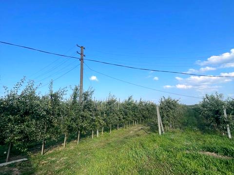 ділянка за адресою 