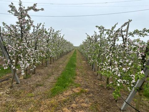 ділянка за адресою 