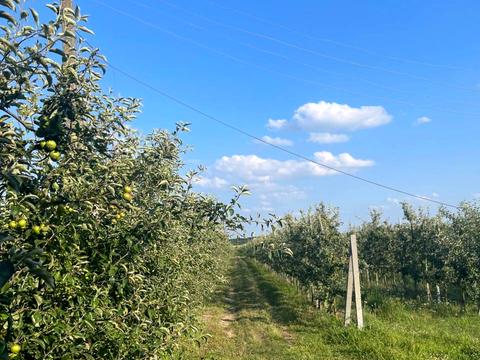 ділянка за адресою 