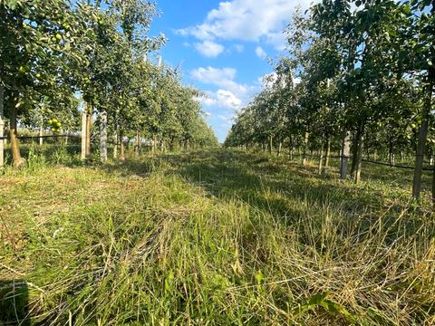 ділянка за адресою 