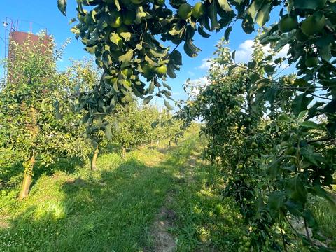 ділянка за адресою 