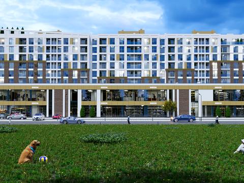 комерційна за адресою Окружна вул., 36Б