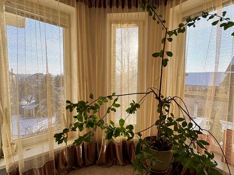 будинок за адресою Білогорська вул. (Фабриціуса), 88