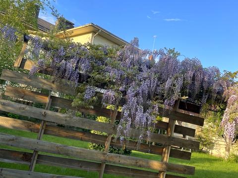 будинок за адресою Білогорська вул. (Фабриціуса), 88